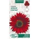 Семена Подсолнух декор. Красное солнышко, 1 г.