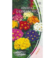 Семена Примула садовая, смесь, 0,1 г.