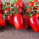 Семена Томат Британский завтрак, 0,1 г.