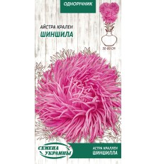 Семена Астра Шиншилла, краллен, 0,25 г.