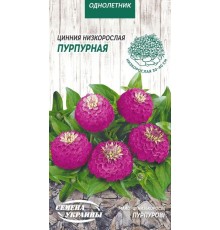 Семена Цинния Пурпурная, низкорослая, 0,5 г.