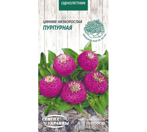 Семена Цинния Пурпурная, низкорослая, 0,5 г. Семена Цинния Пурпурная, низкорослая, 0,5 г.