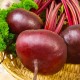 Семена Эконом пак. - Свекла Египетская плоская, 10 г.