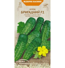 Семена Огурец Бригадный F1, 0,5 г. ОС