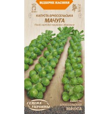 Семена Капуста брюссельская Мачуга, 0,5 г. ОС