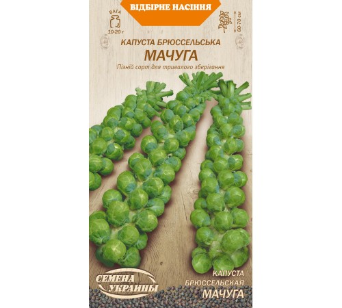 Семена Капуста брюссельская Мачуга, 0,5 г. ОС Семена Капуста брюссельская Мачуга, 0,5 г. ОС