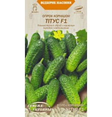 Семена Огурец Титус F1, 0,5 г.