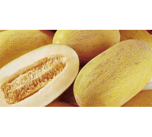 Семена Дыня Амал, 1 г. ОС