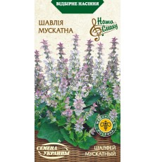 Семена Шалфей мускатный, 0,2 г.