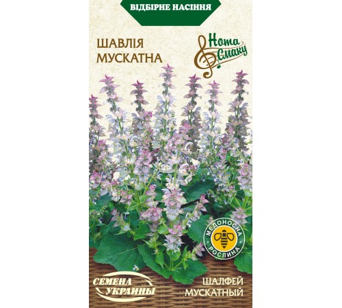Семена Шалфей мускатный, 0,2 г. Семена Шалфей мускатный, 0,2 г.