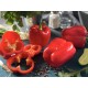 Семена Перец сл. Калифорнийское чудо красное, 0,25 г.