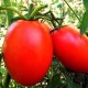 Семена Томат Де-барао гигант красный, 0,1 г.