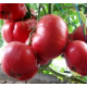 Семена Томат Король гигантов , 0,1 г. ОС
