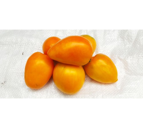 Семена Томат Золотые купола, 0,1 г. Семена Томат Золотые купола, 0,1 г.