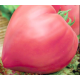 Семена Томат Бычье сердце розовое, 0,1 г.