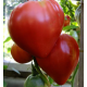 Семена Томат Бычье сердце красное, 0,1 г.