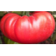 Семена Томат Богатырь, 0,1 г. ОС