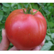 Семена Томат Кардинал, 0,1 г. ОС