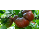 Семена Томат Аппетитный, 0,1 г. ОС