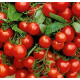 Семена Томат Балконное чудо красное, 0,1 г. ОС