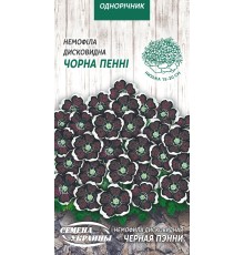 Семена Немофила Черная пэнни, дисковидная, 0,3 г.