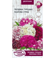 Семена Гвоздика Махровая, турецкая, смесь, 0,25 г.