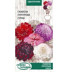 Семена Скабиоза Пурпурная, смесь, 0,3 г.