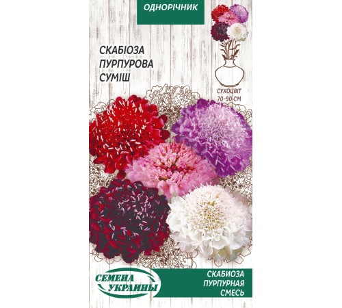 Семена Скабиоза Пурпурная, смесь, 0,3 г. Семена Скабиоза Пурпурная, смесь, 0,3 г.
