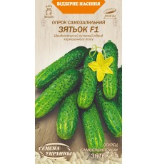 Семена Огурец Зятек F1, 0.25 г. ОС