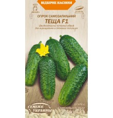 Семена Огурец Теща F1, 0.25 г. ОС