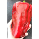 Семена Перец сл. Красный великан, 0,25 г.