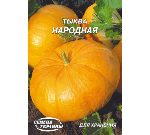 Семена Эконом пак. - Тыква Народная, 20 г. Семена Эконом пак. - Тыква Народная, 20 г.