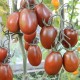 Семена Томат Де барао черный, 0,1 г.