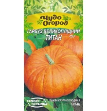 Семена Тыква Титан, 2 г. ЧО
