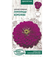 Семена Цинния Пурпурная королева, изящная, 0,5 г.