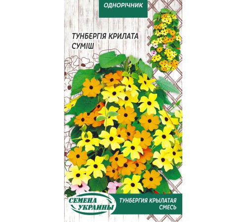 Семена Тунбергия, крылатая, смесь, 0,3 г. Семена Тунбергия, крылатая, смесь, 0,3 г.