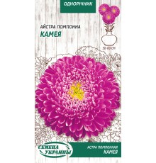 Семена Астра Камея, помпонная, 0.25 г.