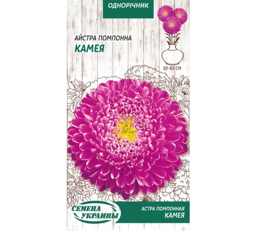 Семена Астра Камея, помпонная, 0.25 г. Семена Астра Камея, помпонная, 0.25 г.