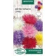 Семена Астра Игольчатая, смесь, 0,25 г.