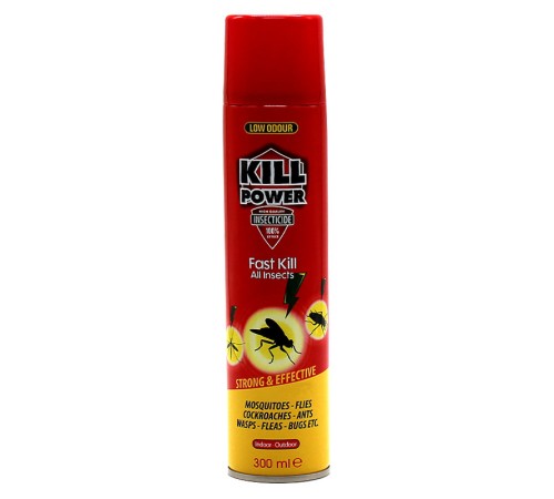 Аэрозоль Kill Power 300 мл Аэрозоль Kill Power 300 мл