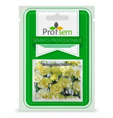 PS Эустома "Echo Yellow F1" 100 сем