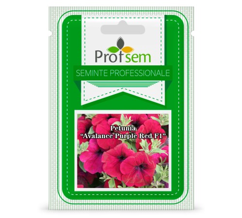 PS Petunia "Avalanche Purple Red F1" 20 сем PS Petunia "Avalanche Purple Red F1" 20 сем