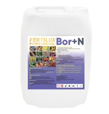 Fertilux Professional Bor+N 10 л