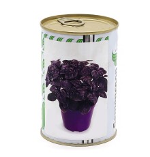SV Фиолетовый базилик "Fulvo" 100 г