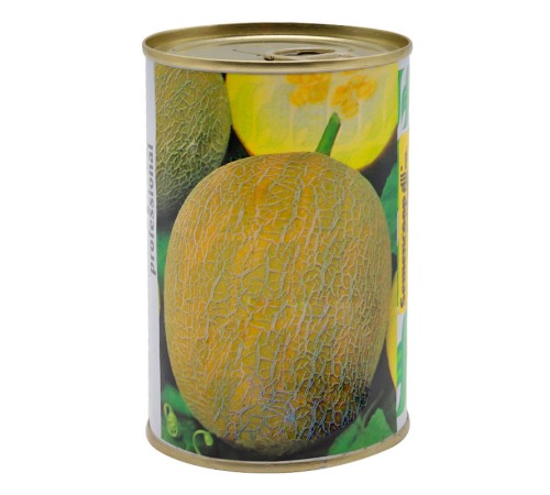 SV Дыня "Ananas" 100 г SV Дыня "Ananas" 100 г
